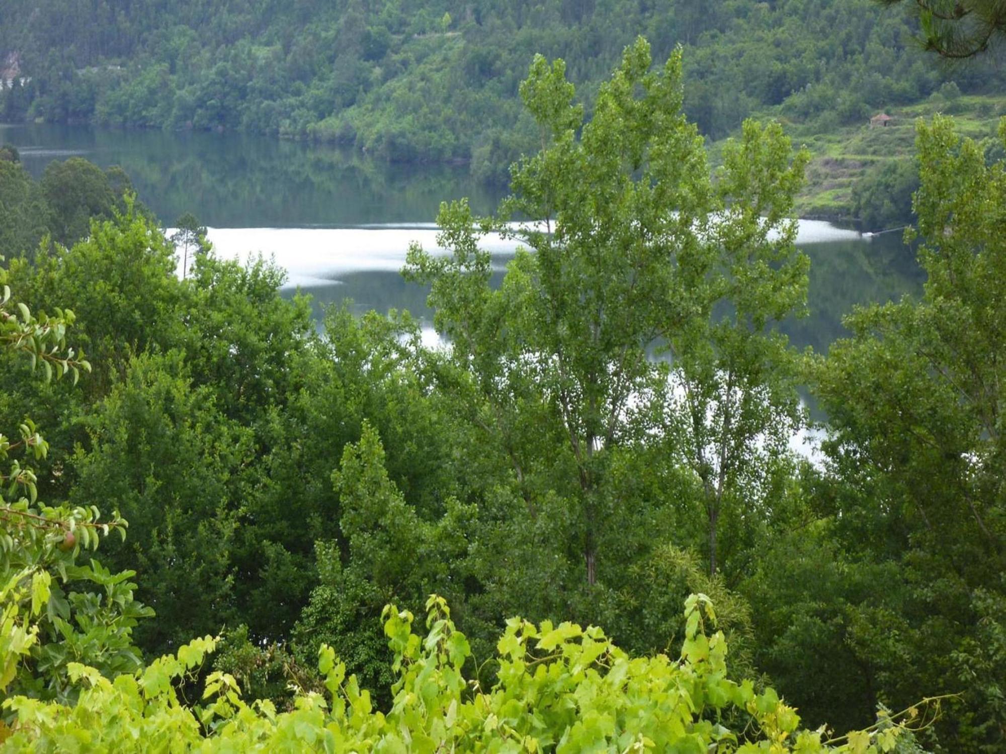 holiday home, Luzim Esterno foto